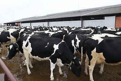 Жилье, работа, услуги, досуг. Решение каких вопросов важно для сельской молодежи