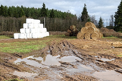 Рейдовая группа проверила предприятия АПК Лиозненского района