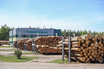 Линию лесопиления мелкотоварной древесины запустили в Ганцевичском лесхозе