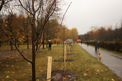 Республиканский субботник проходит в Минске