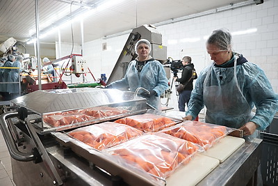 В Минске в стабфонды заложено 43 тыс. тонн овощей и яблок