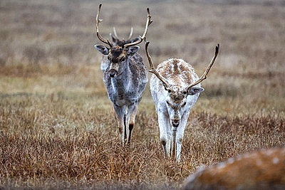 ФОТОХРОНИКА начинает новый информационный день