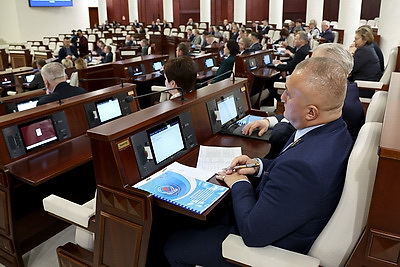Развитие электроэнергетики и газификации населенных пунктов обсуждают в Палате представителей