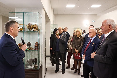 Музей с уникальной коллекцией зубров появился в Бресте