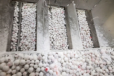 Единственное в Беларуси производство. Как в Глубоком изготавливают клюкву в сахарной пудре?