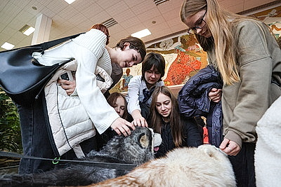 \"Лістападзік\" открылся фильмом российского режиссера \"Слезы дракона\"