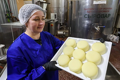 Сливочное масло начнет выпускать частная сыроварня в Городке до конца 2025 года