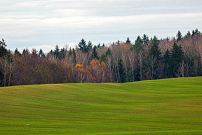 ФОТОХРОНИКА начинает новый информационный день