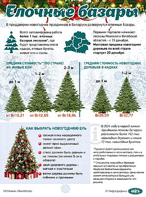 Инфографика. Елочные базары