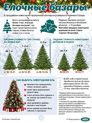 Инфографика. Елочные базары