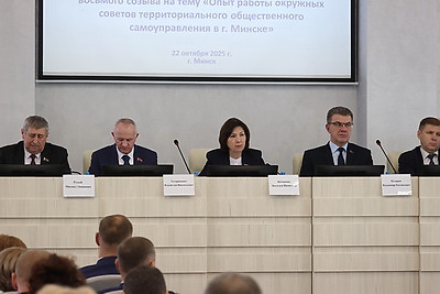 Гражданские инициативы. Опыт работы ТОС рассмотрены на выездном заседании Совета Республики