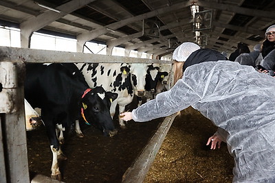 Жилье, работа, услуги, досуг. Решение каких вопросов важно для сельской молодежи