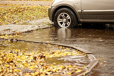 Осенний дождливый день