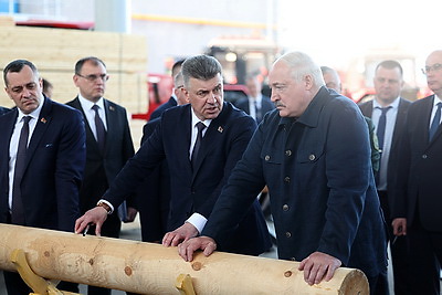 Лукашенко во время рабочей поездки в Витебскую область посетил Оршанский лесхоз