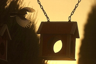 ФОТОХРОНИКА начинает новый информационный день