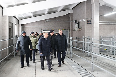 Обновленный молочно-товарный комплекс с уникальными конструкциями введен в строй в Петриковском районе