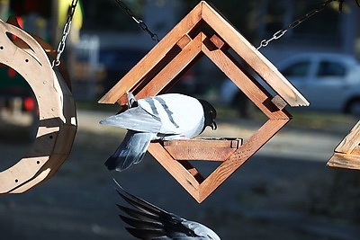 Гражданские инициативы. Опыт работы ТОС рассмотрены на выездном заседании Совета Республики