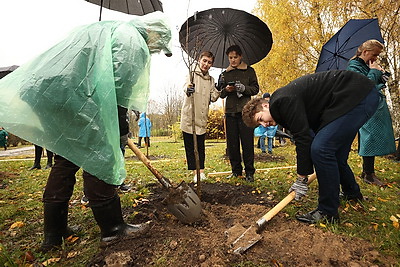 Республиканский субботник проходит в Минске