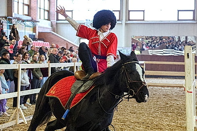 В Могилевском районе прошла международная выставка-шоу породистых лошадей \"Осень-2025\"
