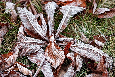 ФОТОХРОНИКА начинает новый информационный день