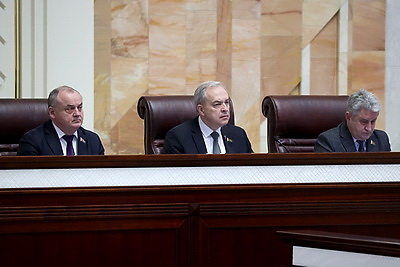 Актуальные вопросы применения земельного законодательства обсудили в Палате представителей
