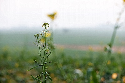 ФОТОХРОНИКА начинает новый информационный день