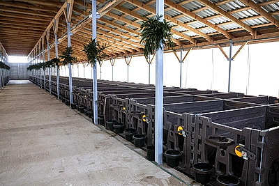 Серьезная перезагрузка отрасли: девять новых МТК появилось в Могилевской области в 2025 году