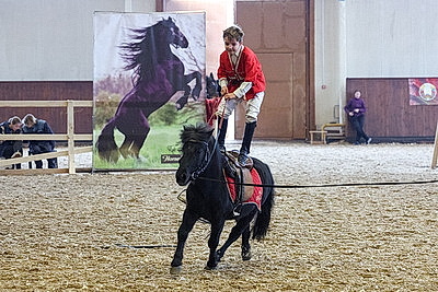 В Могилевском районе прошла международная выставка-шоу породистых лошадей \"Осень-2025\"