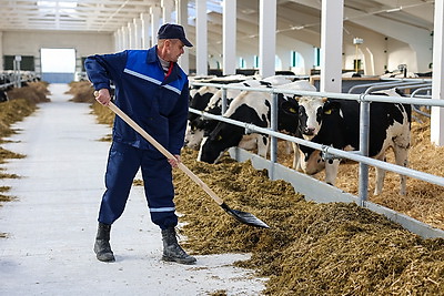 Новый МТК на 800 коров ввели в строй в Клецком районе