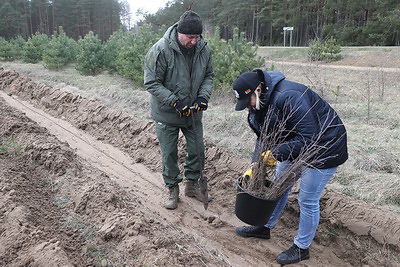 Руководство Гродненского облисполкома присоединилось к акции \"Дай лесу новае жыццё\"
