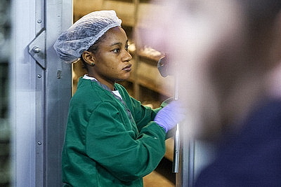 Законопроект по вопросам внешней трудовой миграции должен поступить на рассмотрение депутатов в 2026 году