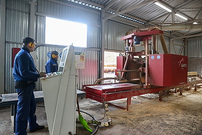 Производства по выпуску поддонов намерены наладить в Дрогичинском и Лунинецком лесхозах