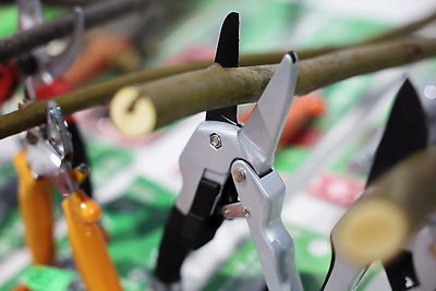 Международная выставка \"Деревообработка-2025\" открылась в Минске