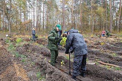 Задел на будущее, важный ресурс для следующих поколений. Карпенко об акции \"Дай лесу новае жыццё!\"