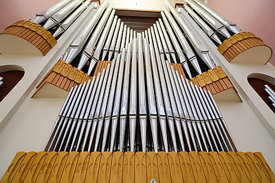 Ксения Погорелая удостоена спецпремии Президента