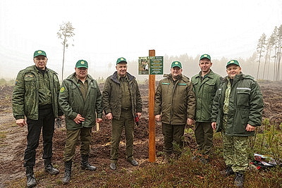 В Беларуси во время акции \"Дай лесу новае жыццё!\" планируется высадить 21 млн деревьев