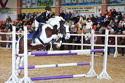 В Могилевском районе прошла международная выставка-шоу породистых лошадей \"Осень-2025\"
