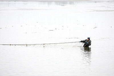 Осенью в рыбхозах пересаживают рыбу на зиму