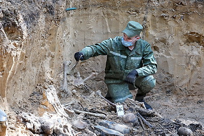 В Полоцком районе обнаружено место массового расстрела мирных граждан времен ВОВ