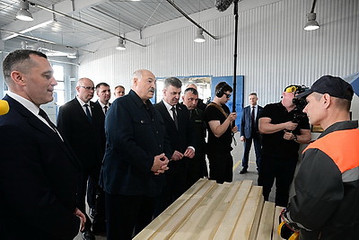 Лукашенко во время рабочей поездки в Витебскую область посетил Оршанский лесхоз