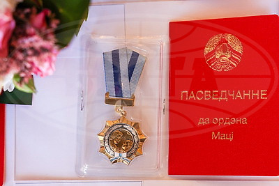 Многодетным жительницам Минской области вручили орден Матери