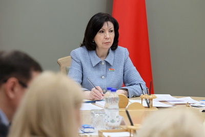 Законопроект о признании квалификации обсуждается на Экспертном совете при Совете Республики