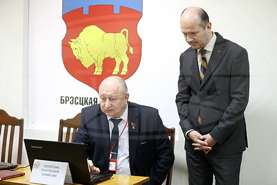 \"Нет никаких нареканий\". Наблюдатель от СНГ об избирательной кампании в Беларуси