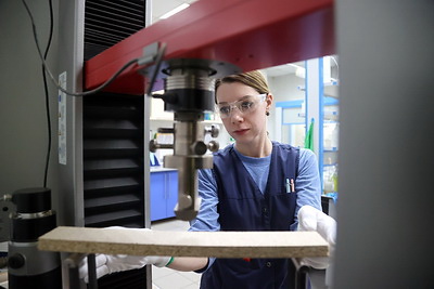 От бревна и до красивой мебели. Новые точки роста предприятия по переработке древесины