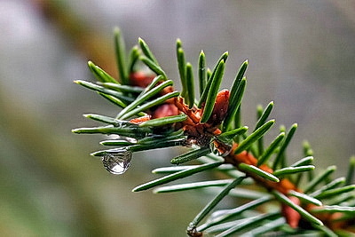 ФОТОХРОНИКА начинает новый информационный день