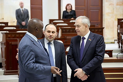 Сергеенко: Панафриканский парламент - достаточно мощная площадка, она дает дополнительные возможности