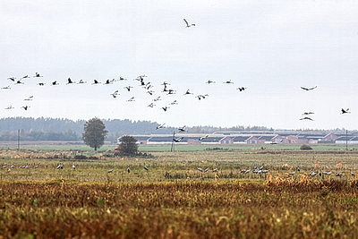 ФОТОХРОНИКА начинает новый информационный день