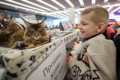 Международная выставка кошек прошла в Минске