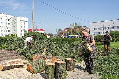 К ликвидации последствий грозового фронта в Могилевской области привлечены дополнительные ресурсы и силы