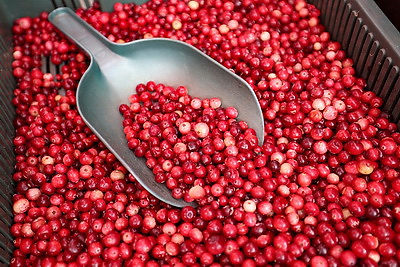 Сельскохозяйственные ярмарки стартовали в Минске